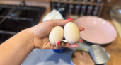 Секрет варки яиц из Кремля: прокол и кипяток. Легкая чистка, идеальный желток 