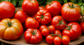 Лучшие сорта томатов, для следующего сезона: 7 уникальных сортов покорили мое сердце и огород - собрала свою неповторимую коллекцию