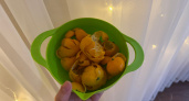 Никогда не выбрасываю корки от мандаринов и апельсинов: показываю, как они решают важную проблему дома и экономят бюджет