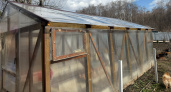 Зачем кидать снег в теплицу весной? Простой способ улучшить почву и получить ранний урожай 
