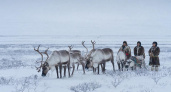 "Это другая свобода": почему жители тундры выбирают жизнь без отопления и дорог