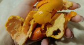 Мандариновые корки до марта сушу в духовке: полезному запасу весь год не нарадуюсь — использую в быту и для выпечки