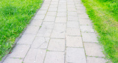 Как навсегда избавиться от сорняков между плитками в саду: одно средство заменяет цемент и служит 10 лет без трещин