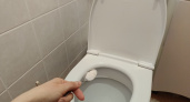 Почему нужно солить воду в унитазе: не бред, а полезный лайфхак – запомните на всю жизнь
