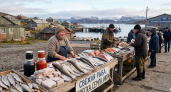 Какие цены на рыбу в мурманском поселке, где ее ловят сотни лет - честный обзор с прилавков
