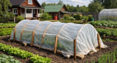 Теплицы из поликарбоната больше не в моде: дачники массово перешли на новый материал за копейки