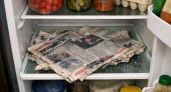 Положила мокрую газету в холодильник и не ожидала такого результата - избавилась от одной неприятной проблемы