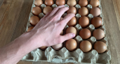 На Пасху никогда не покупаю яйца СО — знакомая с птицефабрики призналась: вот что с ними не так