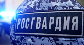 Росгвардейцы задержали 25-летнего пензенца, разбившего дверь магазина