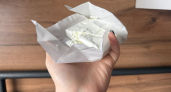 Мясной клей в пачке: Роскачество озвучило худшие бренды творога - на Пасху такой брать не стоит даже по акции 