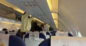 Плацкарт теперь и в самолёте: пассажирам предлагают новые спальные капсулы для перелётов - летать теперь будем с комфортом 