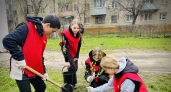 «Зелёная волна»: пензенцы высадили сотни деревьев в рамках масштабного субботника