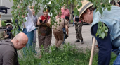 В Пензенской области подвели итоги масштабного Всероссийского субботника