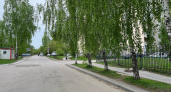 В Пензе заключили договор на покос травы на общую сумму в 10 млн рублей