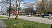 На Стреле пенсионерка выпала из 70-го автобуса 