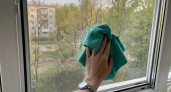 2 ложки — и окна сияют чистотой до осени: секрет ленивых хозяек 