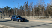 В Городищенском районе автомобиль врезался в лося и опрокинулся