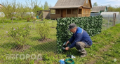 Не покупайте дорогой профлист: в Чижик завезли выгодную альтернативу -  проста в сборке и выглядит дороже цены