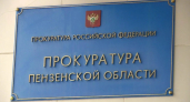 В Пензенской области вынесен приговор по уголовному делу о хищении у матери погибшего участника СВО более 9 млн рублей