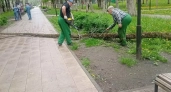 В микрорайоне Арбеково спилили потенционально опасные деревья 