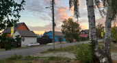Пензенскую область накрыла волна пыльцы березы 