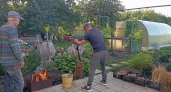 Розовые очки разбились сразу: побывали в гостях у людей, зарабатывающих 200 тыс. в месяц только на сельском хозяйстве