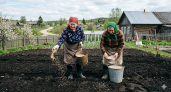 Раскидываю 1 пачку копеечной крупы по грядкам в начале лета - земля как чернозём. Дорогой навоз больше не покупаю