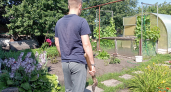 На сегодня это самый доходный и лёгкий бизнес в деревне: даже на 10 сотках можно хорошо заработать - но нужно знать одну деталь