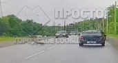 На дублере улицы Окружной сбили косулю