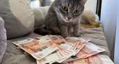 Мы беднеем не из-за низких зарплат: всё портит одна привычка, которую многие даже не замечают