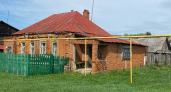 В русской глубинке нашли отшельников на болоте: как они живут среди волков и медведей - там давно работают свои законы 