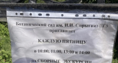 «Пришлось любоваться цветением растений сквозь калитку»: пензенцев лишили возможности посещать Ботанический сад в выходные