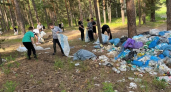 Активисты Федерации спортивного ориентирования привели в порядок берег Суры