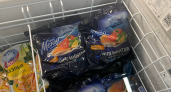 Зря боялась брать морепродукты в дешевом магазине: почему королевские креветки из «Чижика» за 699 рублей оказались лучше дорогих марок