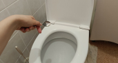 Вот для чего умные хозяйки всегда солят воду в унитазе: запомните раз и на всю жизнь