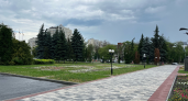 В городском бюджете не нашлось средств на борьбу со златкой