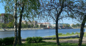 Власти озвучили программу «Пензенского лета» на предстоящую неделю