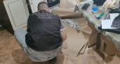 Обнародовано фото подозреваемой в убийстве 4-летней девочки из Нижнеломовского района