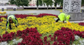 В Пензе вручную спасают городские цветники
