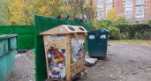 Двое пензенцев спасли пляж на ГПЗ от огня без помощи спасателей 