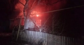 Житель Мордовии сжег дом матери ради миллионов под Пензой 