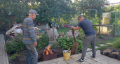 Коллега съездил в деревню в гости к родне, а вернулся с пустыми руками: чего им, жалко что ли - вот почему его не угостили урожаем