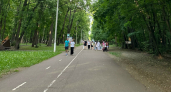 Зоолог Полумордвинов: испанские слизни заполонят Пензу в течение двух-трех лет