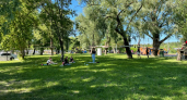 Более двух тысяч пензенцев обратились за помощью к специалистам после укуса клещей
