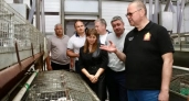 Шемышейский район на взлёте: что увидел губернатор и какие проекты ждут район