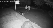 В Пензе подростки устроили опасный квест среди диких зверей