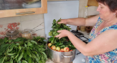 Вишневые листья не сушу и не засыпаю солью: варю с яблоками — зимой открываю банку душистого сиропа, и весь дом пахнет летом