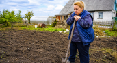 Перекопка грядок больше не в моде: осенью землю укрывают этим материалом — весной почва рыхлая, мягкая и готова к посадкам