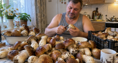 Белые грибы в сезон сушу по-хитрому: превращаю в «лесную пудру» — зимой щепотка в суп, и запах как после дождя в бору