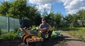 Глава Пензы Олег Денисов показал богатый урожай с семейной дачи